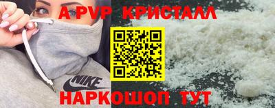 шишки Будённовск
