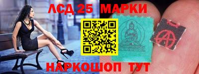 шишки Будённовск