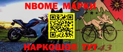 шишки Будённовск