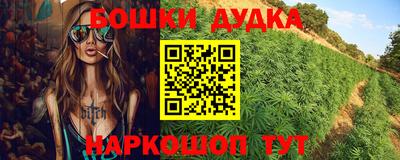 шишки Будённовск