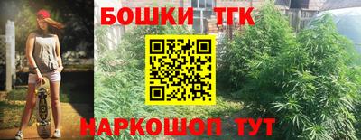 шишки Будённовск