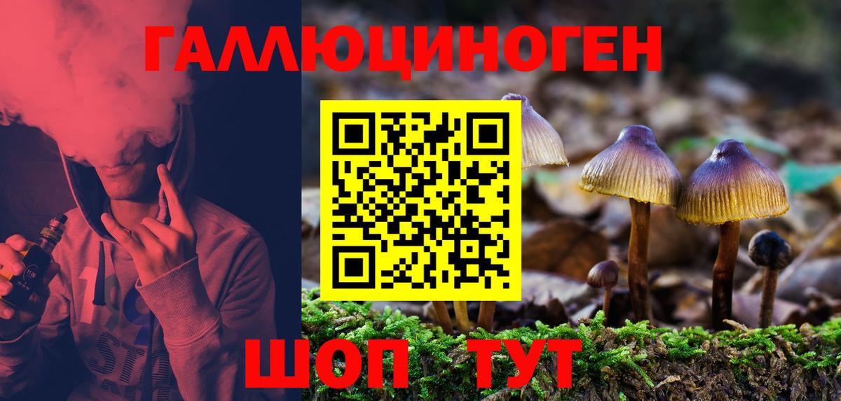Псилоцибиновые грибы MAGIC MUSHROOMS Менделеевск